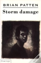 Capa do artigo Storm Damage
