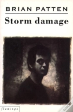 Capa do artigo Storm Damage