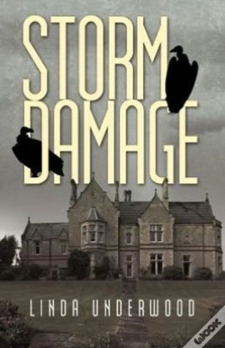 Capa do artigo Storm Damage