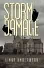 Storm Damage - Preview