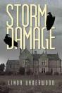 Storm Damage - Preview