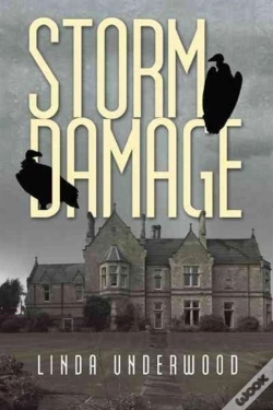 Capa do artigo Storm Damage