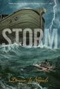 Storm - Preview