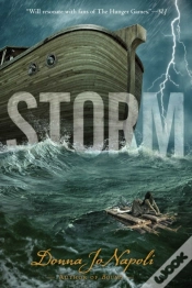Capa do artigo Storm