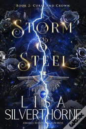 Capa do artigo Storm & Steel