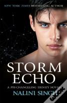 Storm Echo