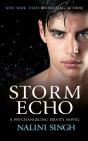 Storm Echo - Preview