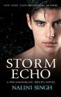 Storm Echo - Preview