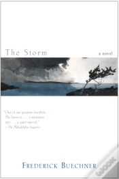 Capa do artigo Storm