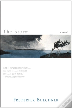 Capa do artigo Storm