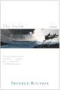 Storm - Preview