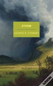 Capa do artigo Storm