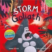 Capa do artigo Storm Goliath