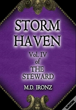Capa do artigo Storm Haven