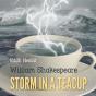 Storm In A Teacup - Preview