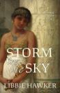 Storm In The Sky - Preview