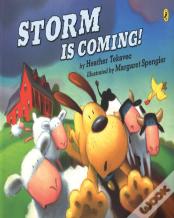 Storm Is Coming!