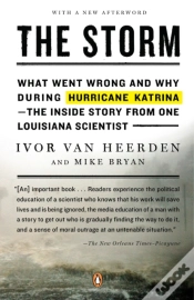 Capa do artigo Storm