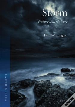 Capa do artigo Storm