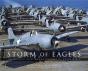 Storm Of Eagles - Preview