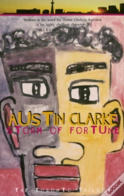 Capa do artigo Storm Of Fortune