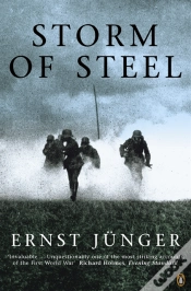 Capa do artigo Storm Of Steel