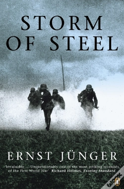 Capa do artigo Storm Of Steel