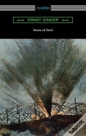 Capa do artigo Storm Of Steel