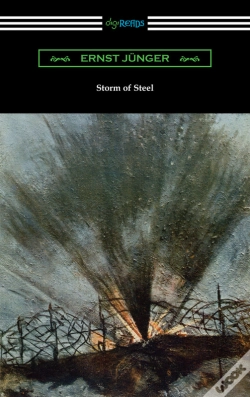 Capa do artigo Storm Of Steel