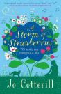 Storm Of Strawberries - Preview