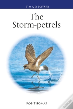 Capa do artigo Storm-Petrels
