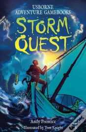 Capa do artigo Storm Quest