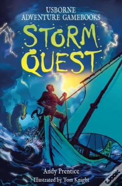 Capa do artigo Storm Quest