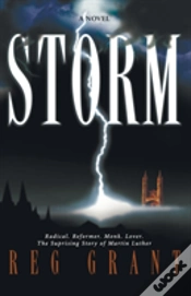 Capa do artigo Storm
