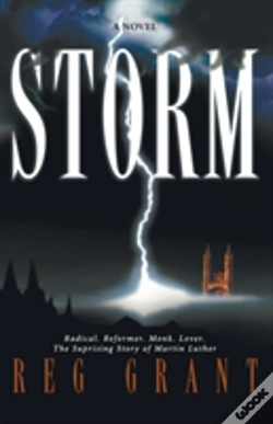 Capa do artigo Storm