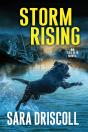 Storm Rising - Preview