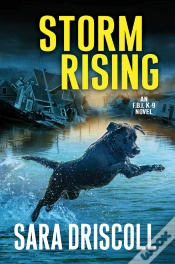 Capa do artigo Storm Rising