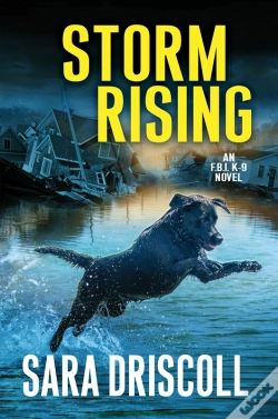 Capa do artigo Storm Rising