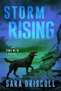 Storm Rising - Preview