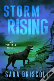Capa do artigo Storm Rising