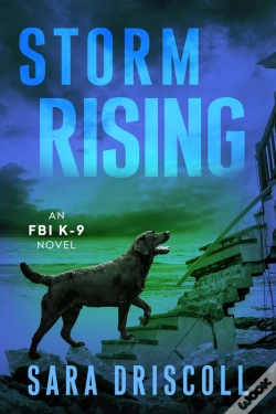 Capa do artigo Storm Rising