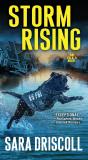 Storm Rising - Preview