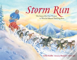 Capa do artigo Storm Run