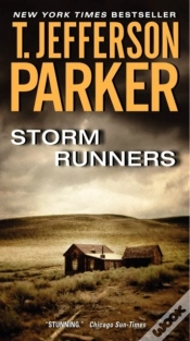 Capa do artigo Storm Runners
