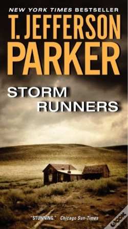 Capa do artigo Storm Runners