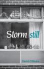 Storm Still - Preview