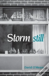 Storm Still