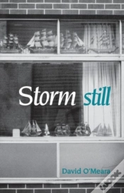 Capa do artigo Storm Still
