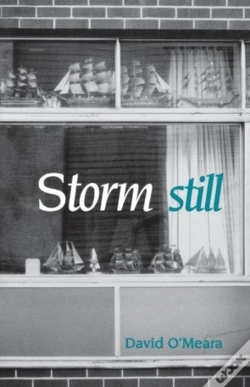 Capa do artigo Storm Still