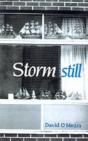 Storm Still - Preview